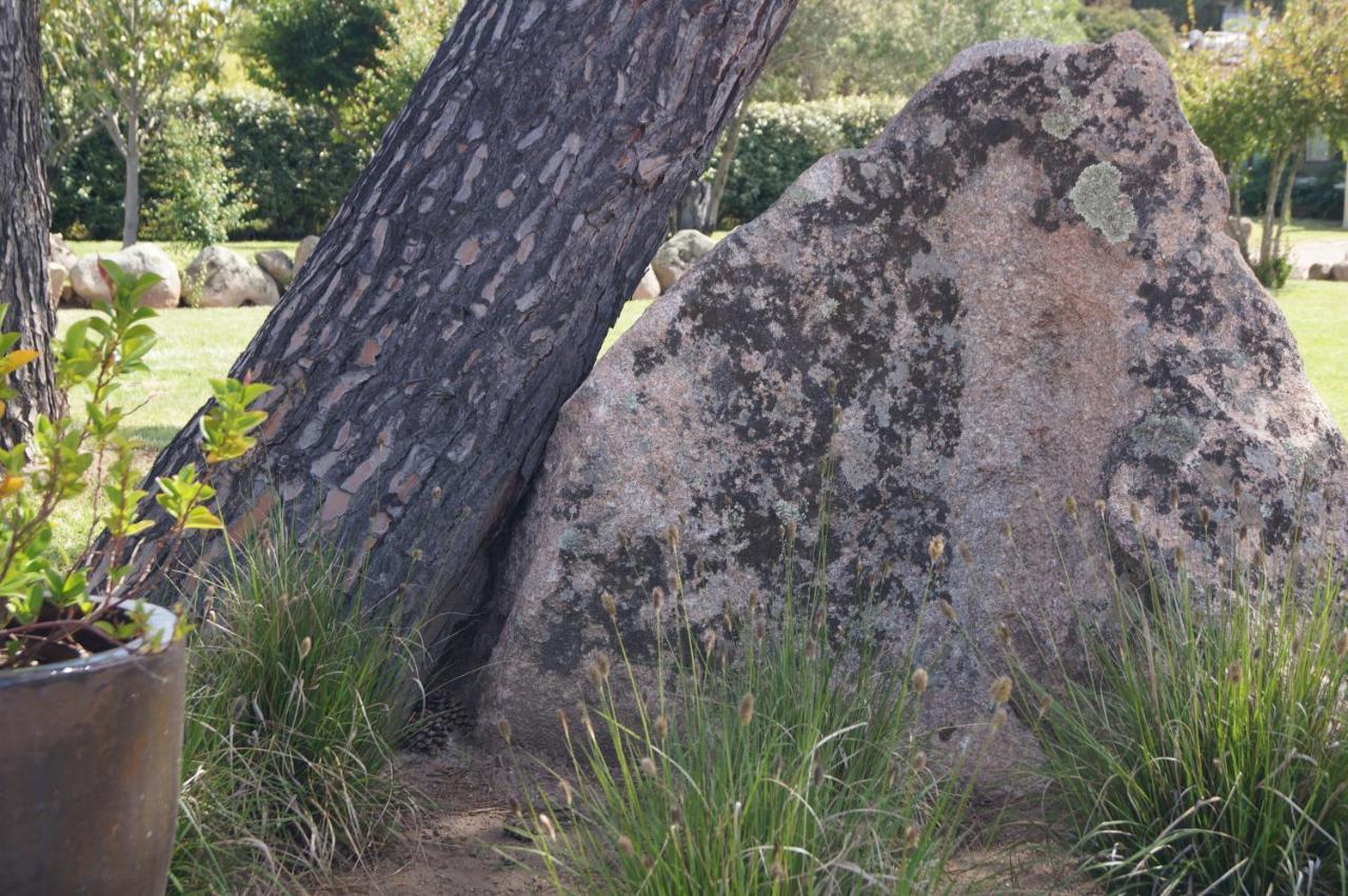 Les Jardins De Santa Giulia - Charmante Chambre D'Hote Порто-Веккьо Экстерьер фото